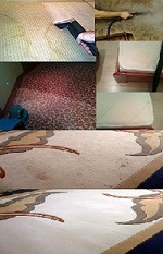 Химчистка (глубокая чистка) ковров, ковролина и мягкой мебели